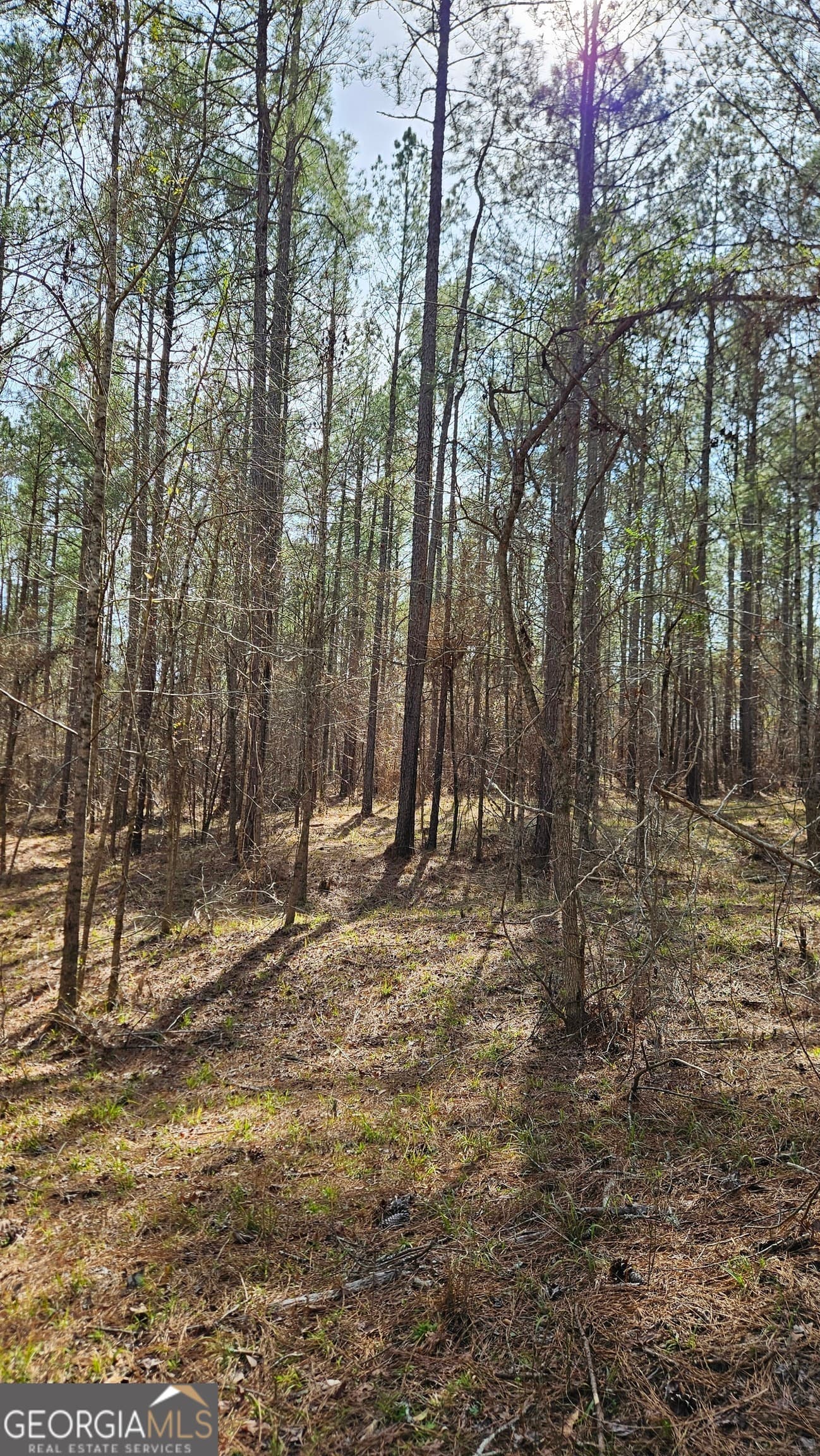 estate lot for sale at 1121 Apalachee Meadows Drive, Madison, GA 30650 — photo 10