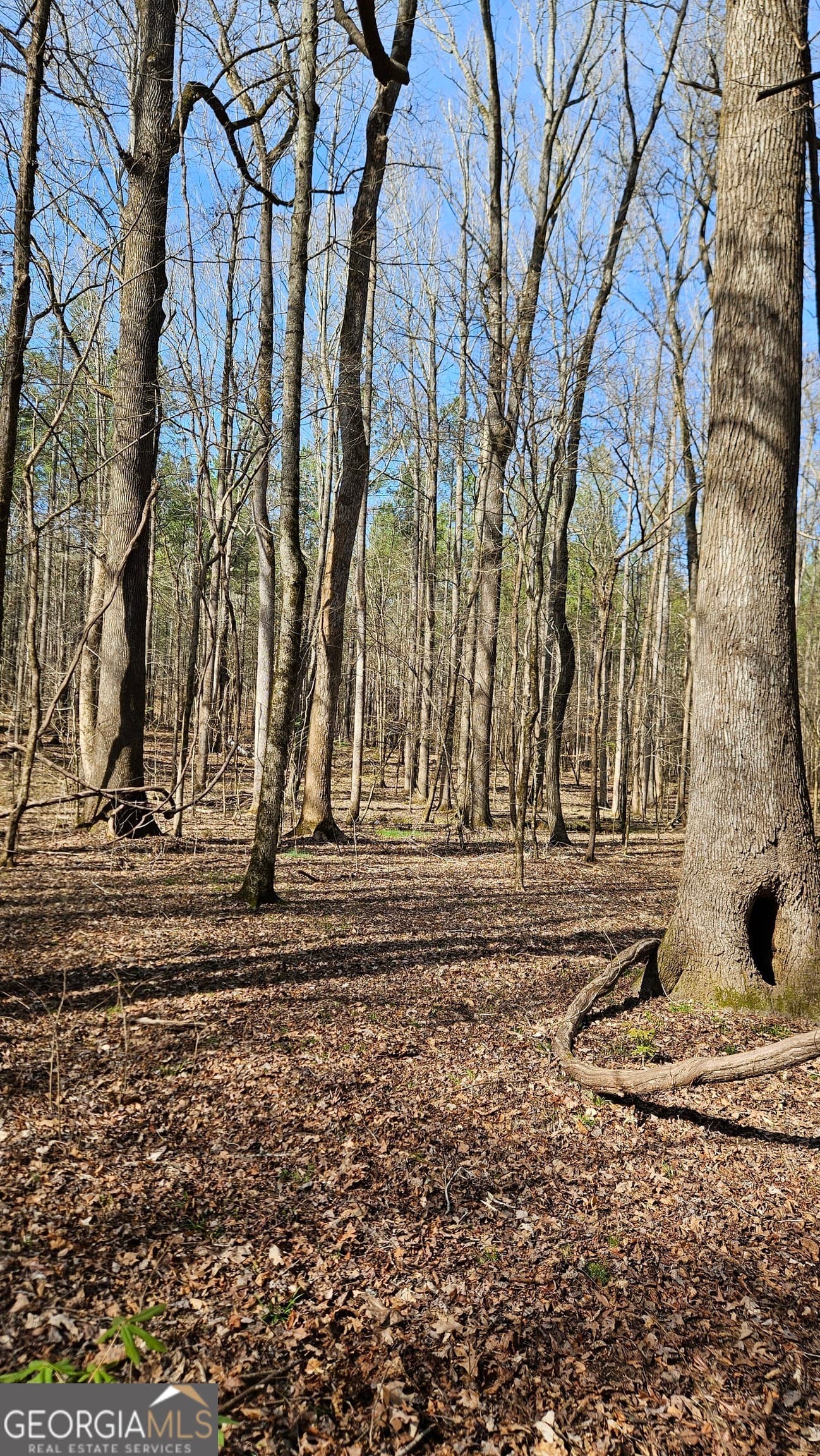estate lot for sale at 1121 Apalachee Meadows Drive, Madison, GA 30650 — photo 4