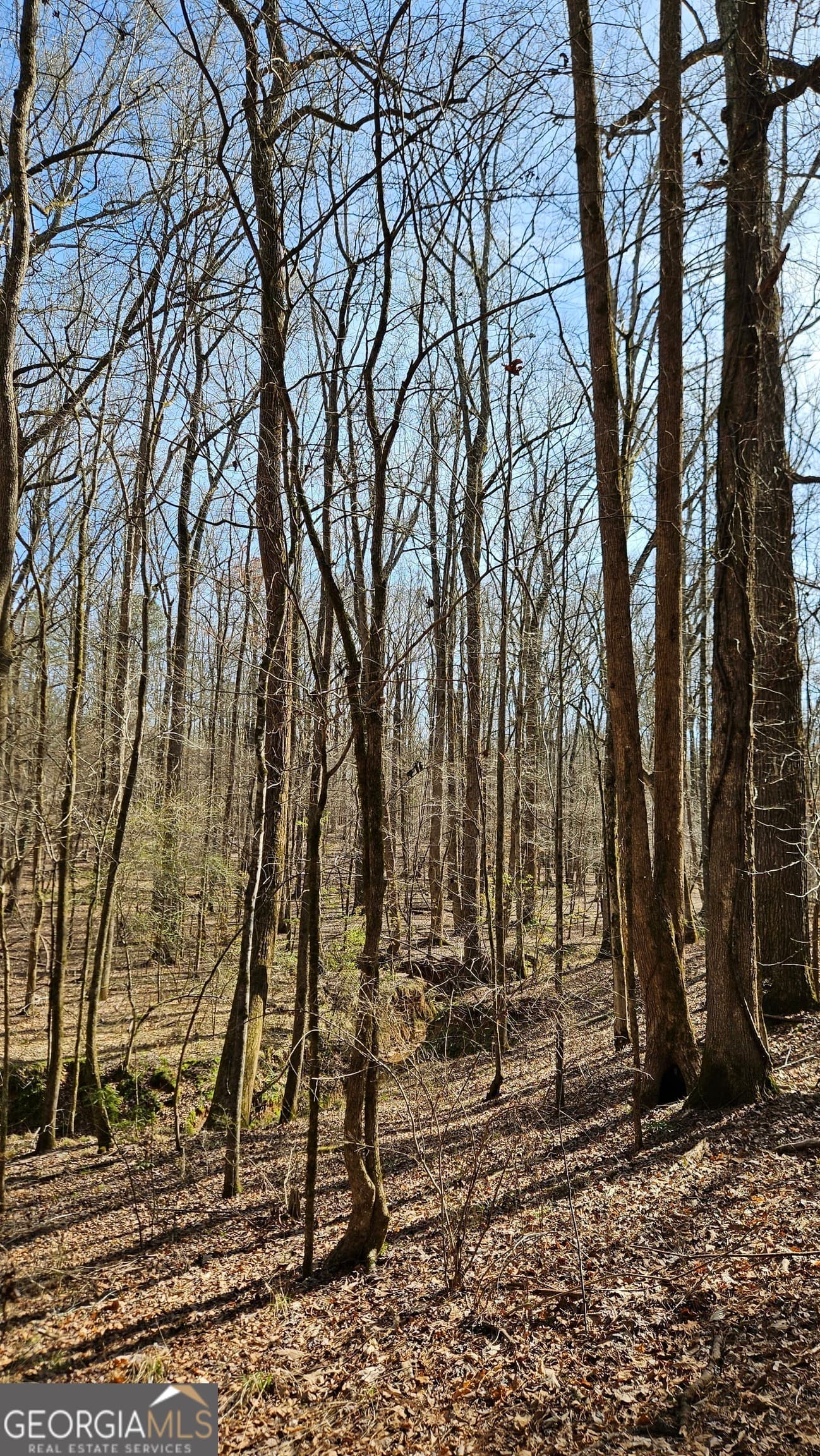 estate lot for sale at 1121 Apalachee Meadows Drive, Madison, GA 30650 — photo 8