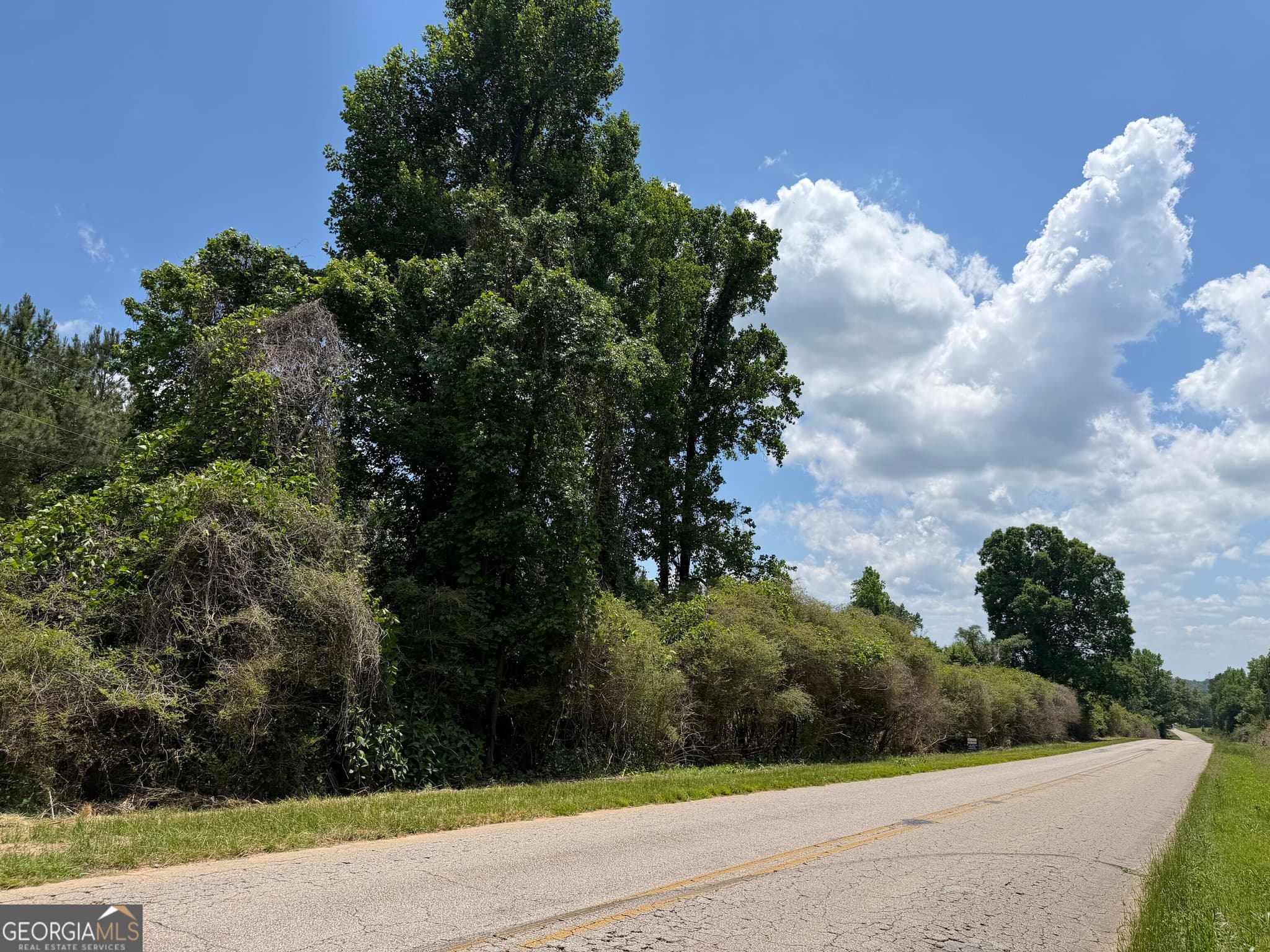 agriculture under contract at 0 County Road 87 5, Roanoke, AL 36274 — photo 2