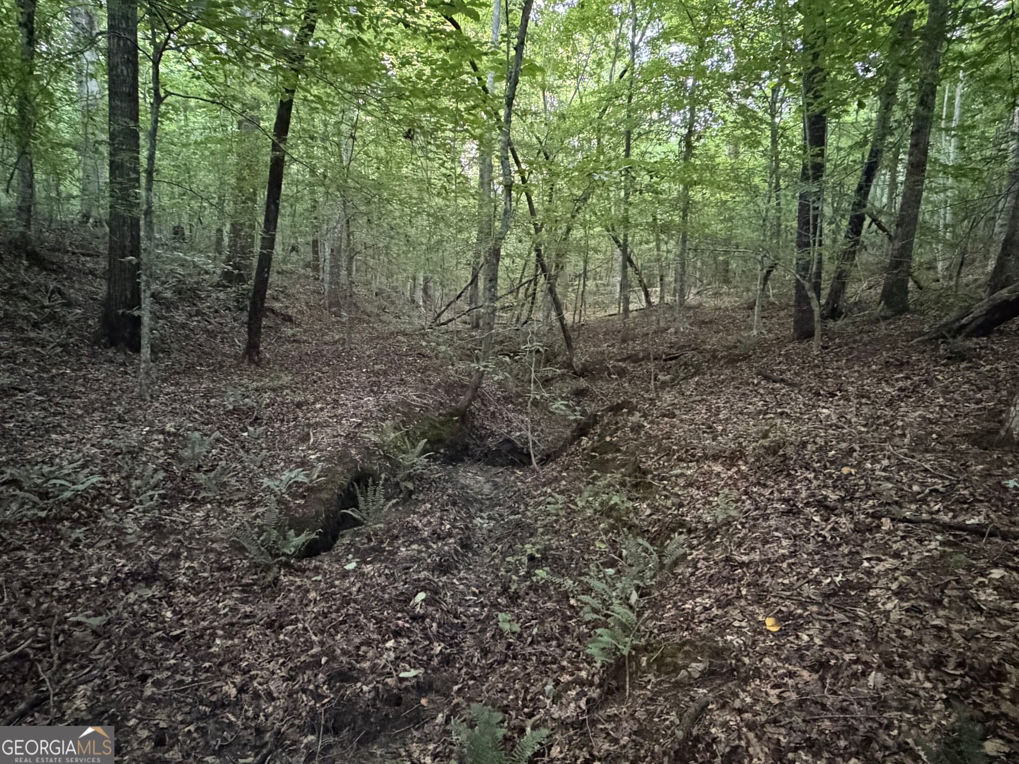 agriculture under contract at 0 County Road 87 5, Roanoke, AL 36274 — photo 7