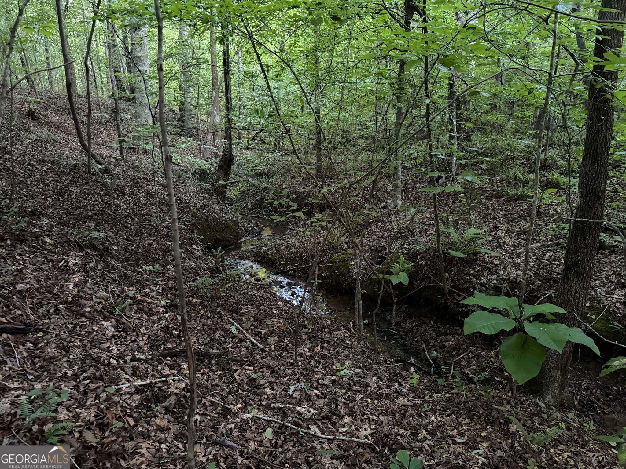 agriculture under contract at 0 County Road 87 5, Roanoke, AL 36274 — photo 8