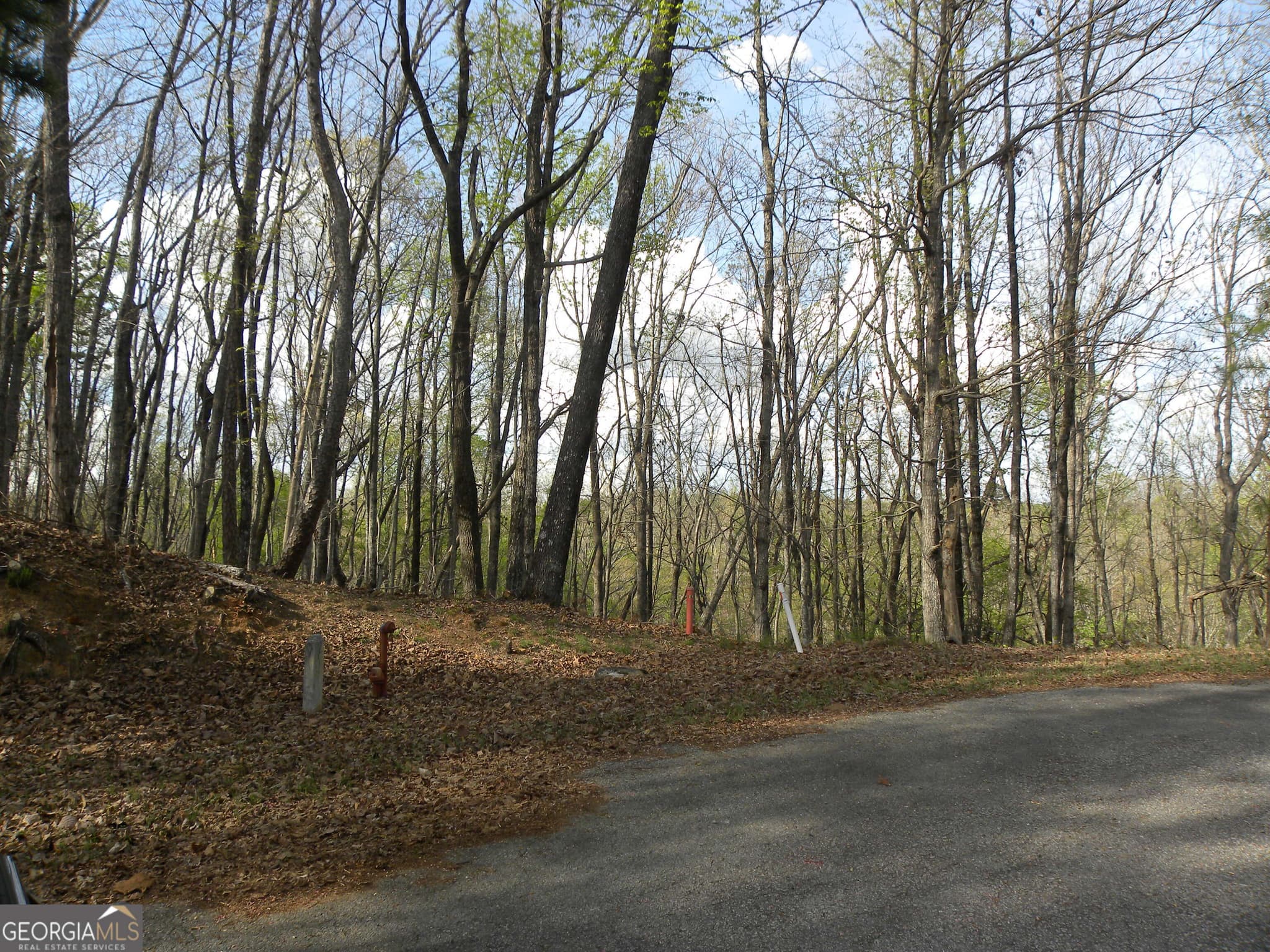 residential lot for sale at LOT 25 Planters Knoll, Baldwin, GA 30511 — photo 7