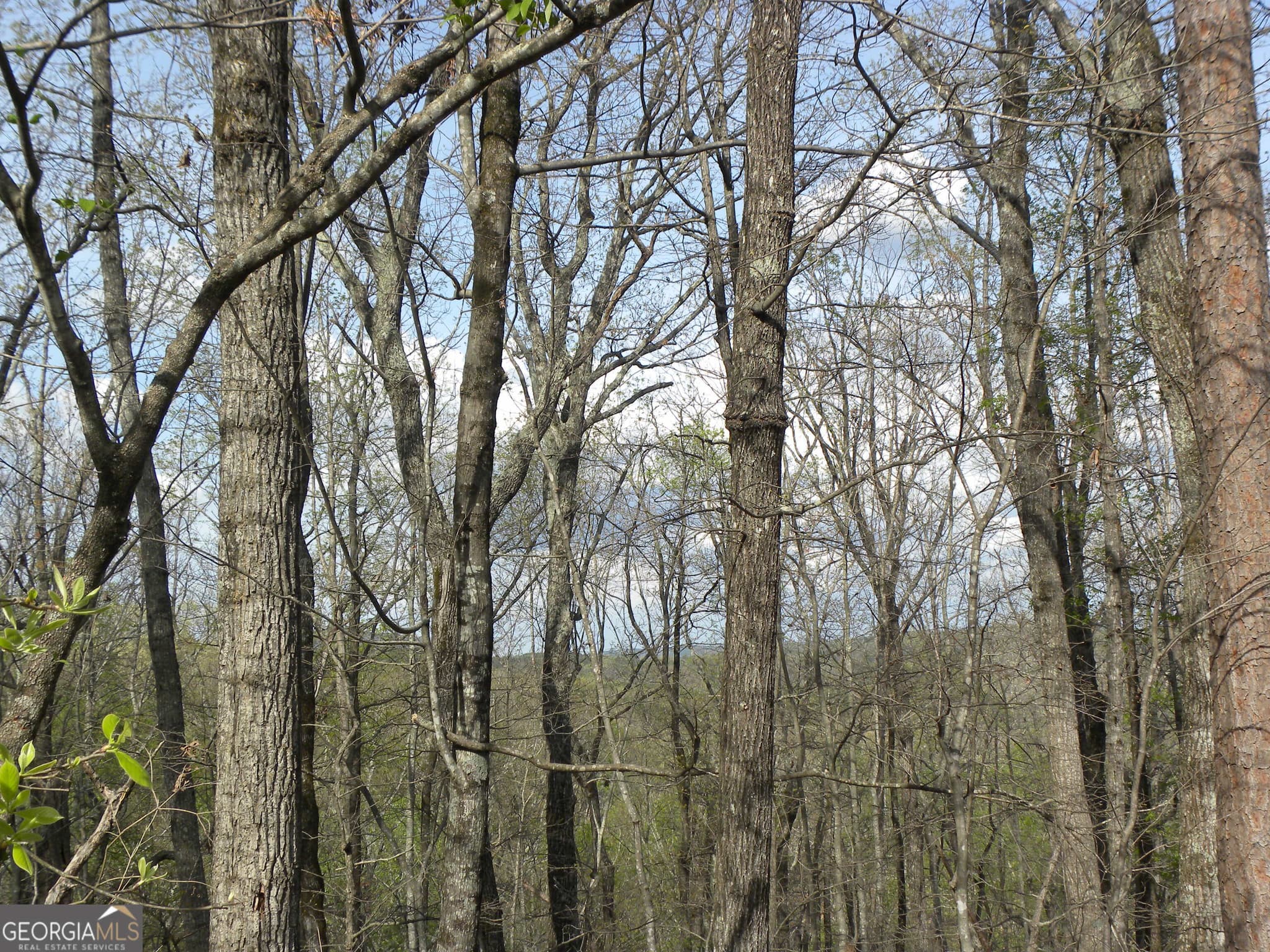 residential lot for sale at LOT 25 Planters Knoll, Baldwin, GA 30511 — photo 9
