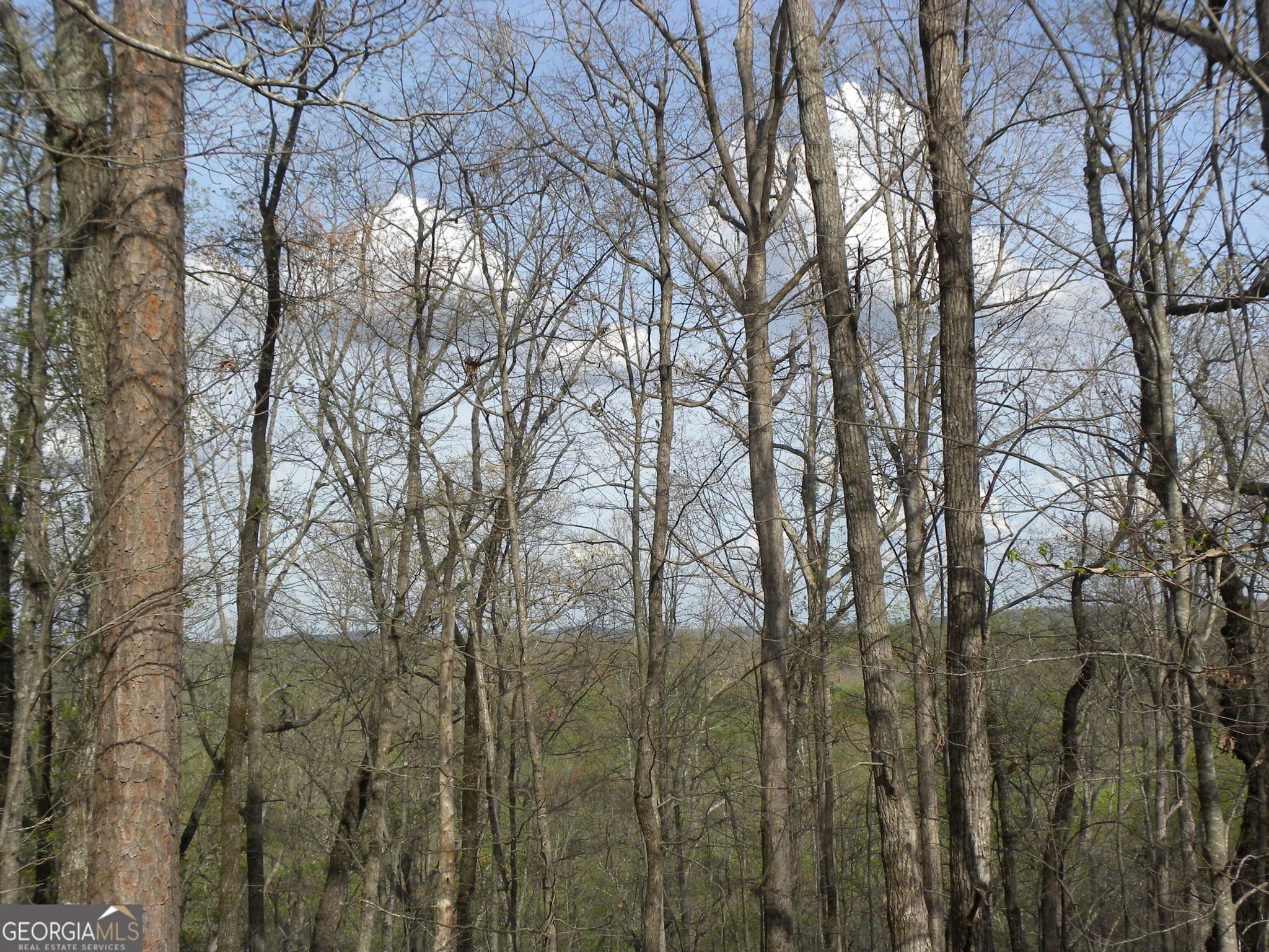 residential lot for sale at LOT 25 Planters Knoll, Baldwin, GA 30511 — photo 8