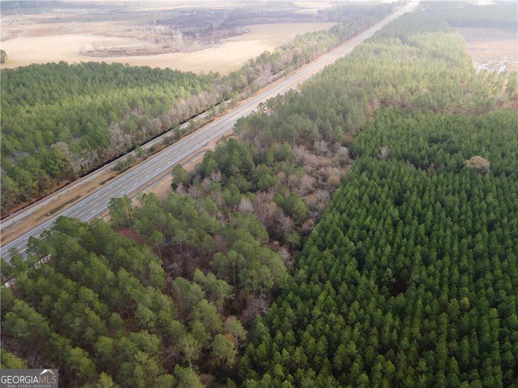 unimproved land for sale at 10.00 AC Highway 341, Odum, GA 31555 — photo 2