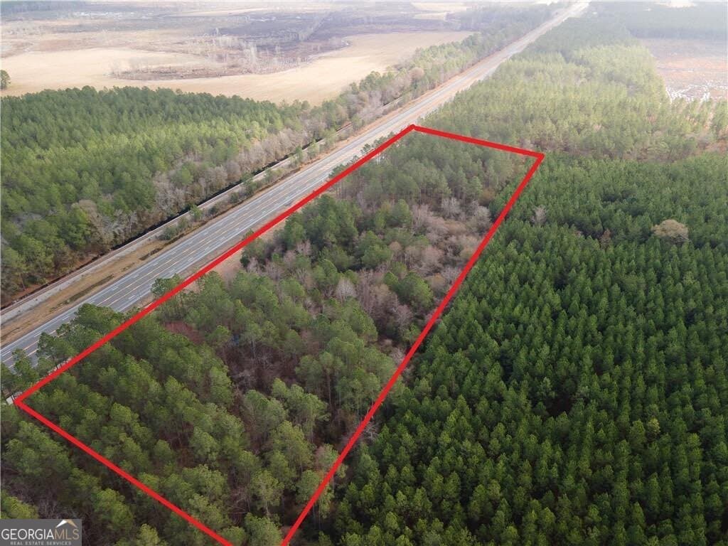 unimproved land for sale at 10.00 AC Highway 341, Odum, GA 31555 — photo 3