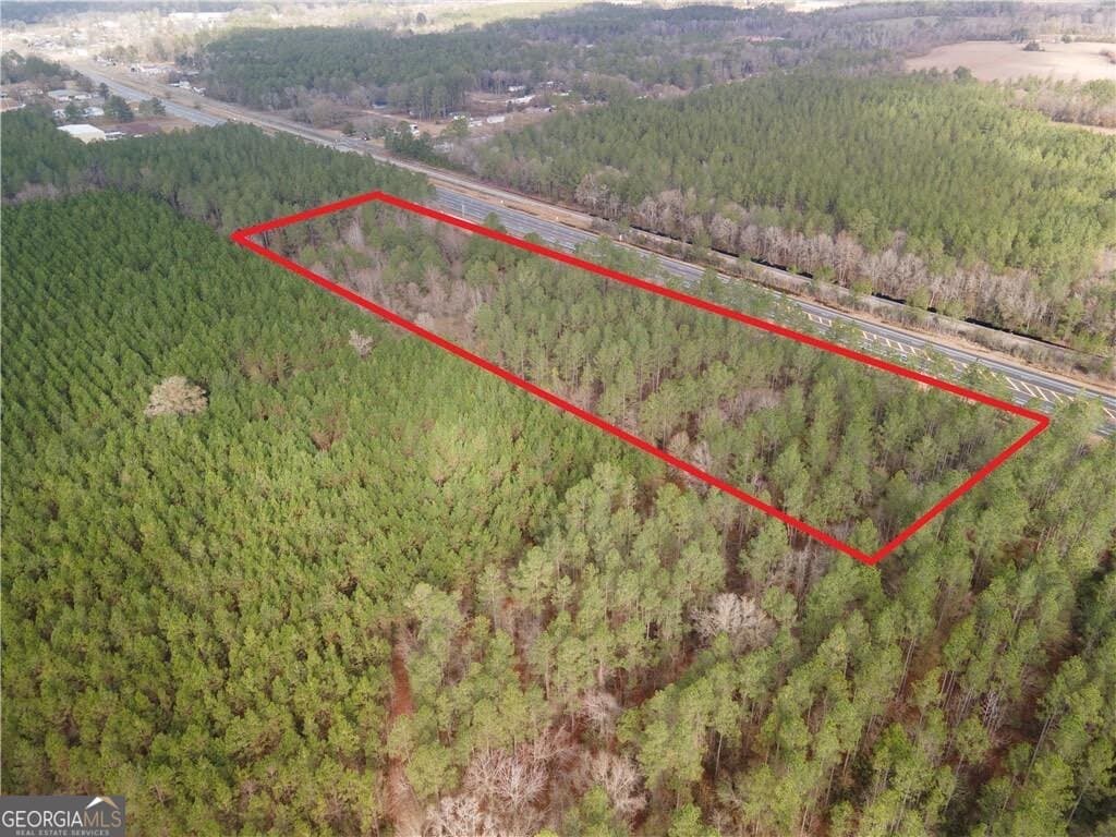 unimproved land for sale at 10.00 AC Highway 341, Odum, GA 31555 — photo 5