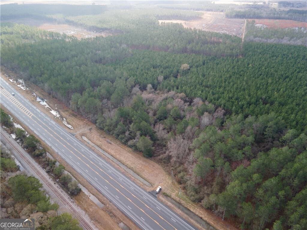 unimproved land for sale at 10.00 AC Highway 341, Odum, GA 31555 — photo 4