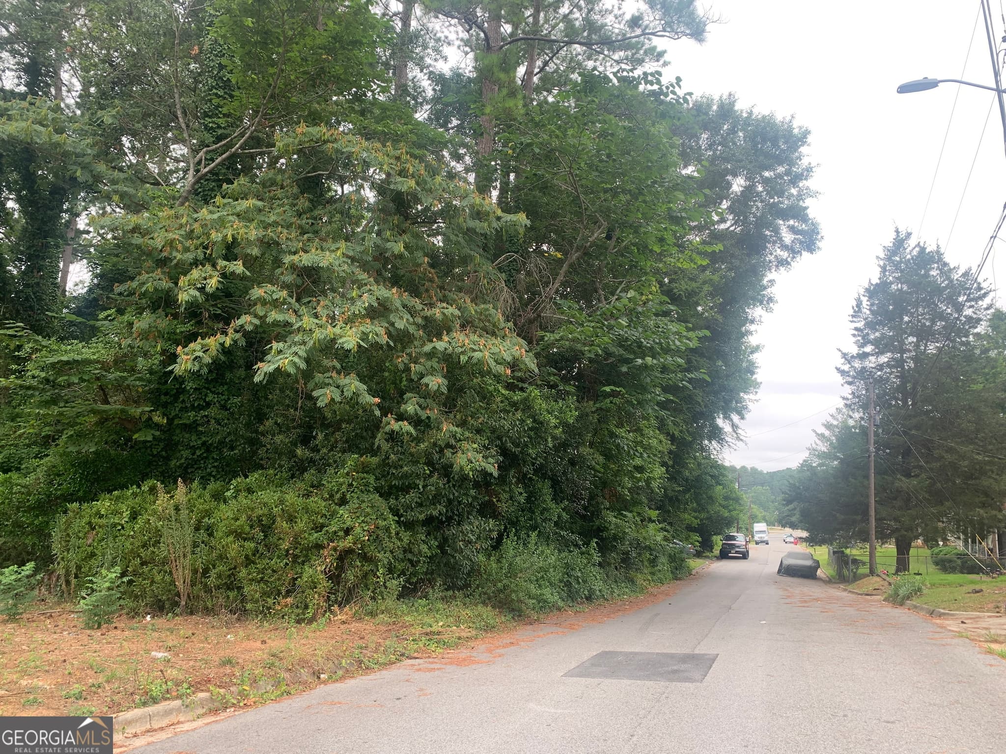 residential lot for sale at 1171 Washington Street, Macon, GA 31204 — photo 2