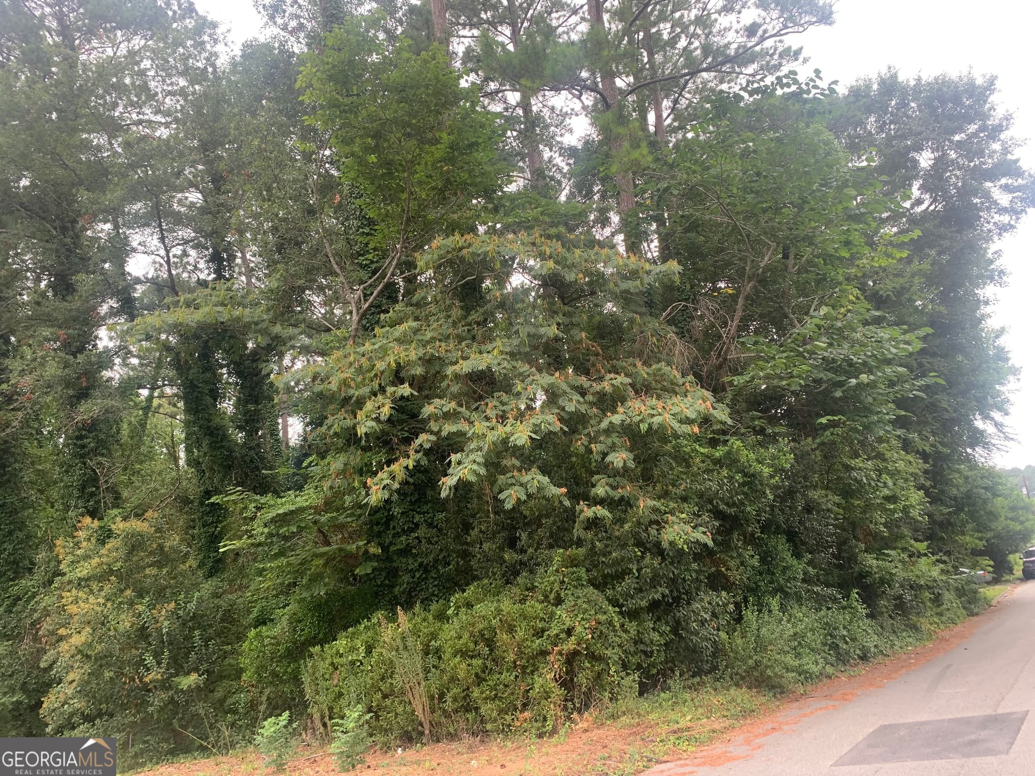 residential lot for sale at 1171 Washington Street, Macon, GA 31204 — photo 6