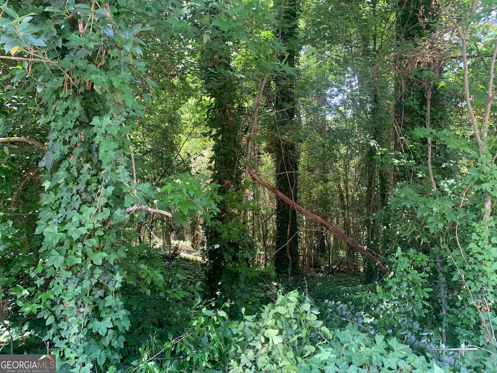 residential lot for sale at 1171 Washington Street, Macon, GA 31204 — photo 7