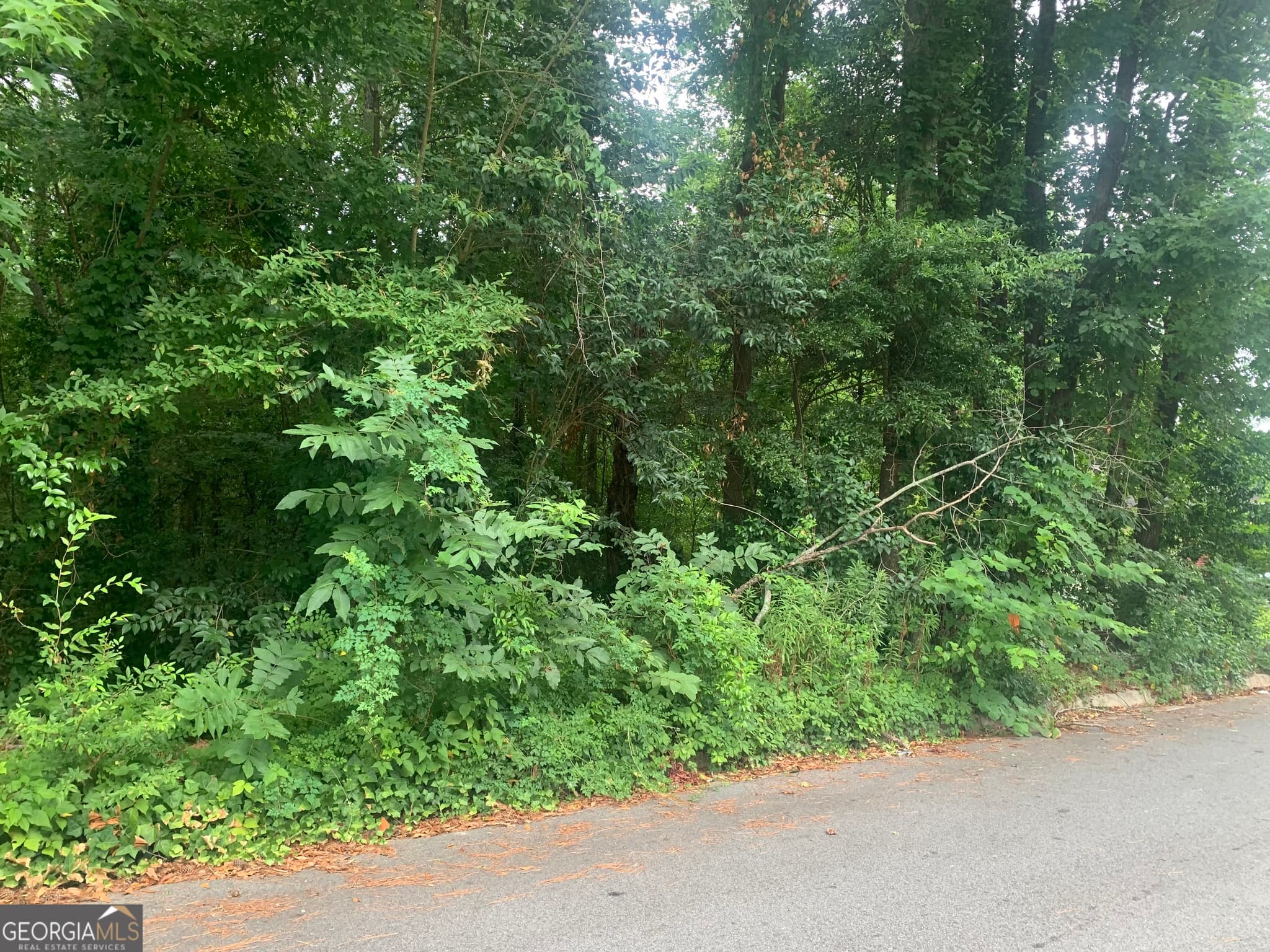 residential lot for sale at 1171 Washington Street, Macon, GA 31204 — photo 3