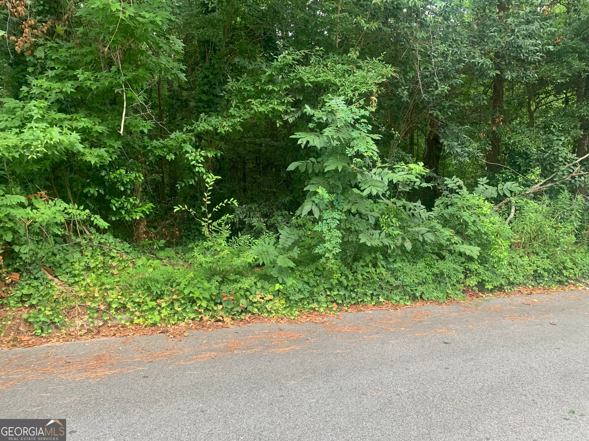 residential lot for sale at 1171 Washington Street, Macon, GA 31204 — photo 1 of 11