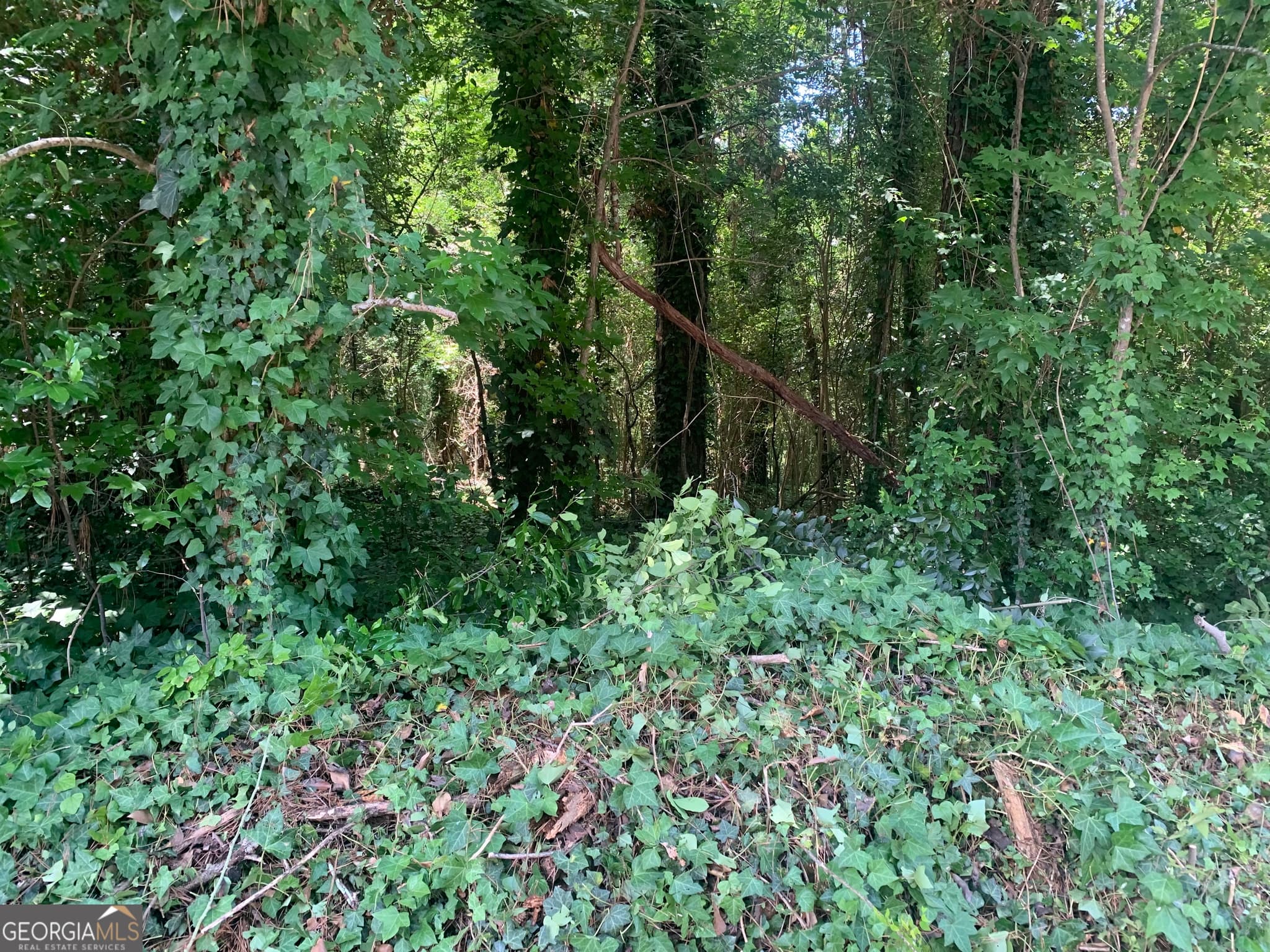 residential lot for sale at 1171 Washington Street, Macon, GA 31204 — photo 5