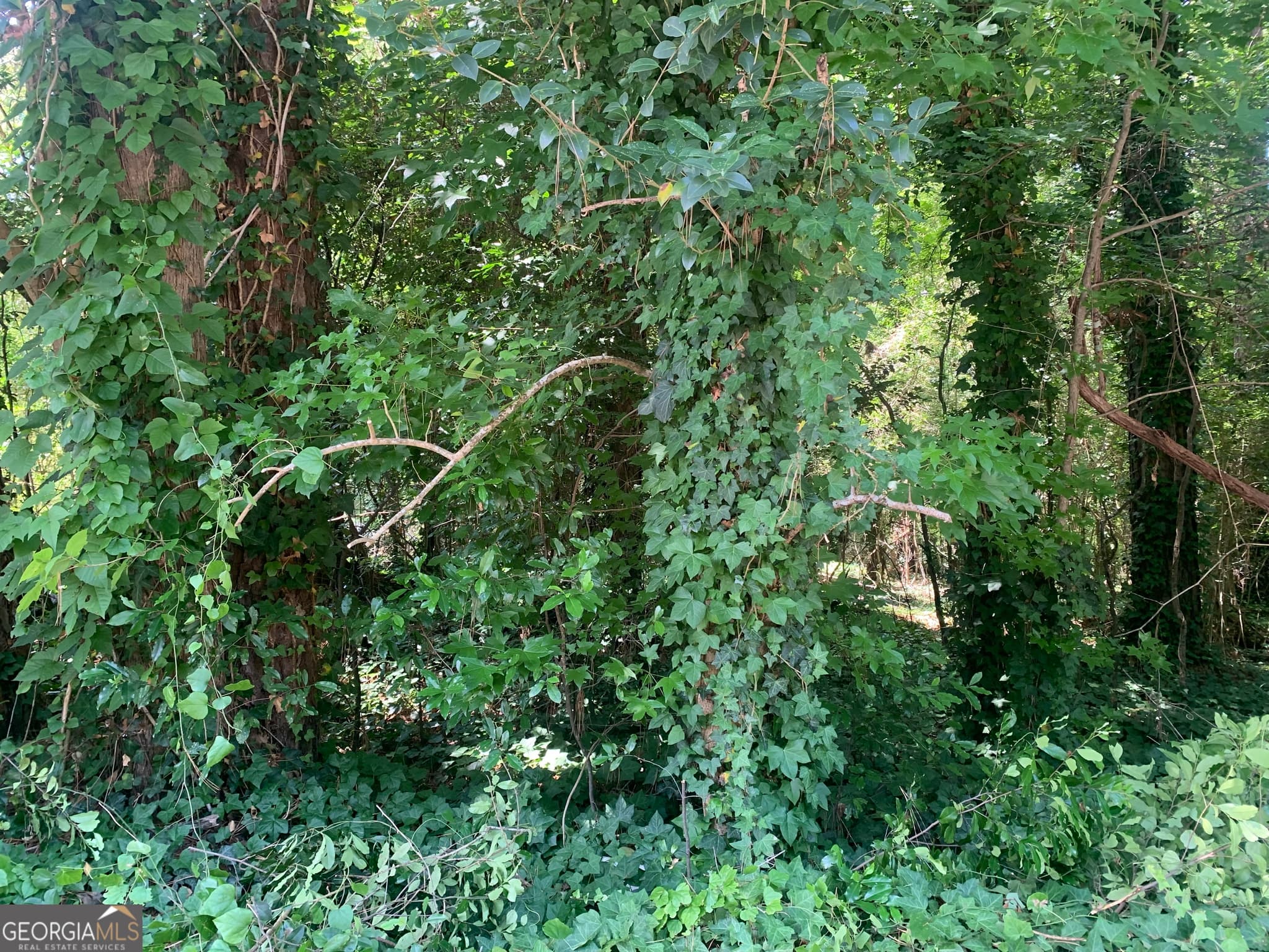 residential lot for sale at 1171 Washington Street, Macon, GA 31204 — photo 9