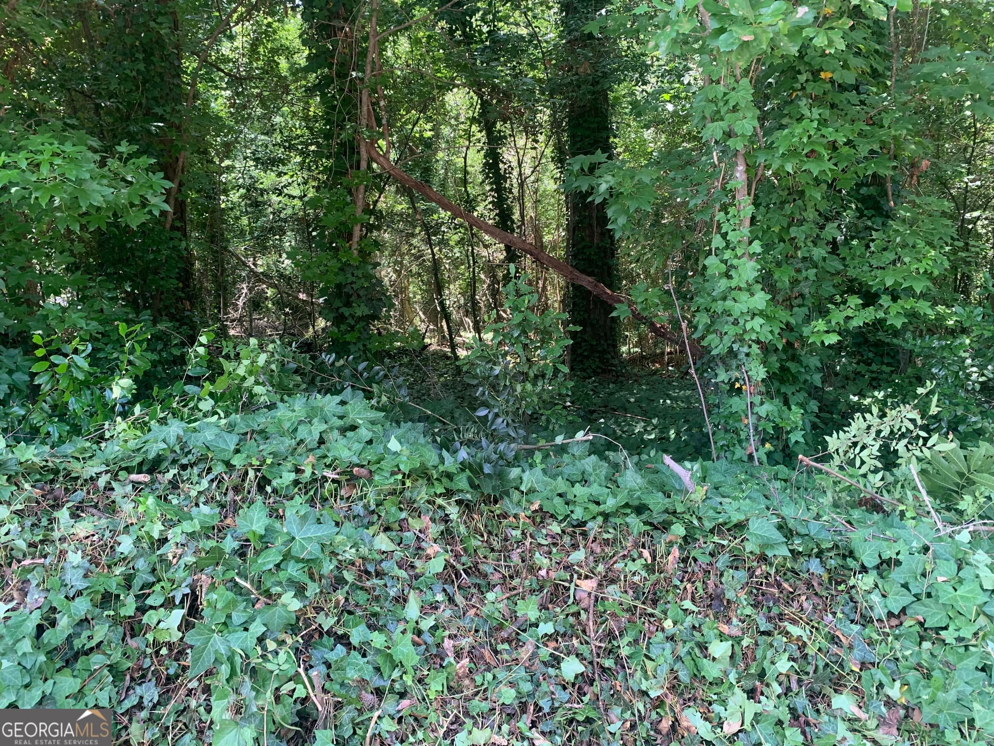 residential lot for sale at 1171 Washington Street, Macon, GA 31204 — photo 10