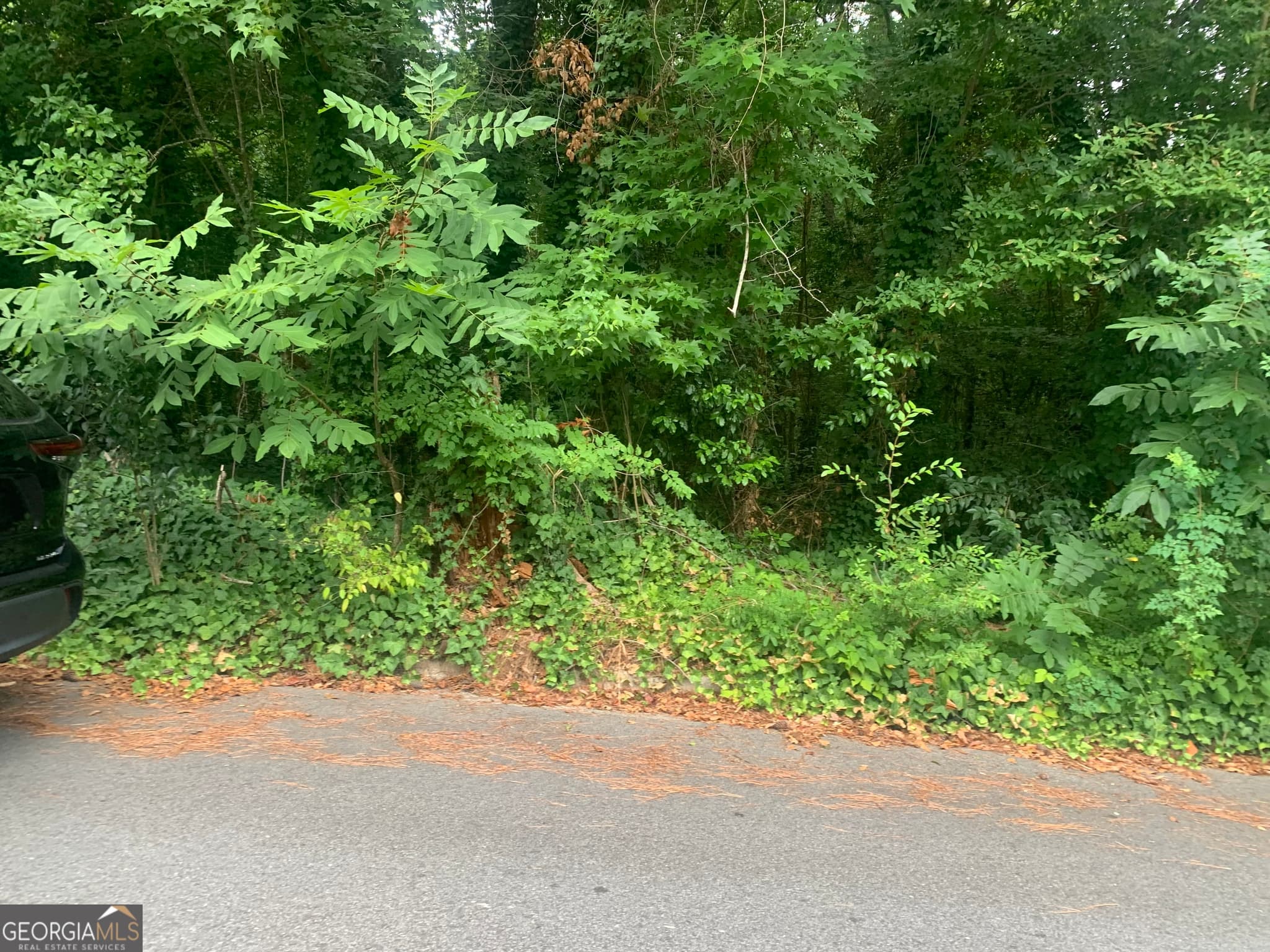 residential lot for sale at 1171 Washington Street, Macon, GA 31204 — photo 4