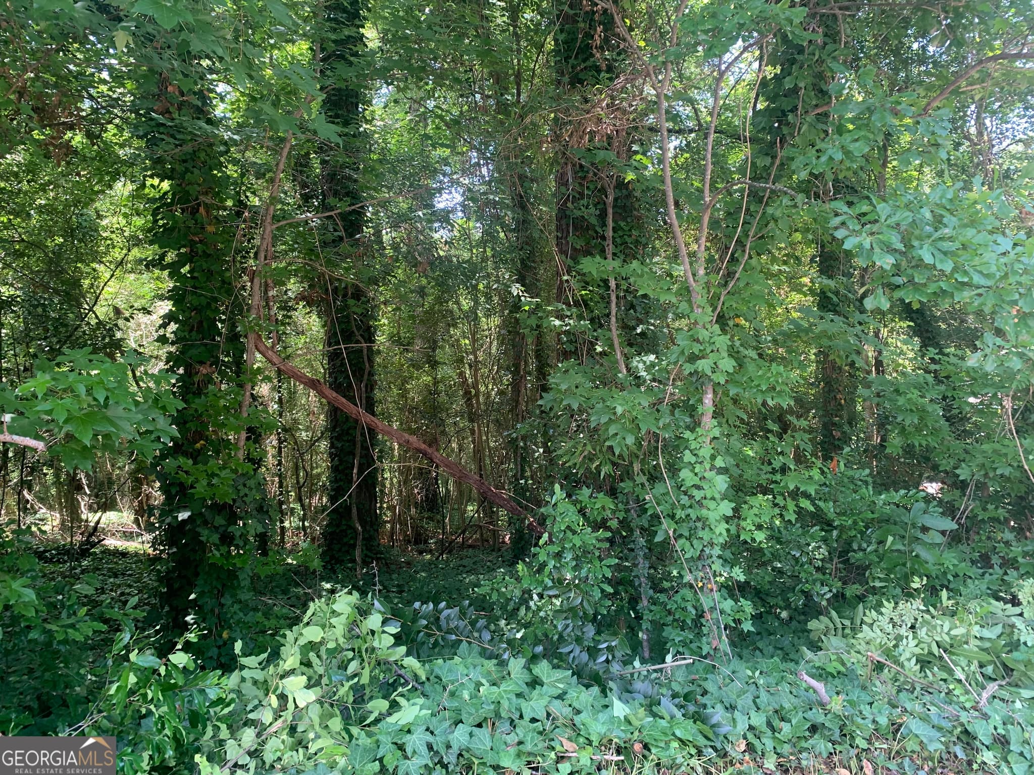 residential lot for sale at 1171 Washington Street, Macon, GA 31204 — photo 8