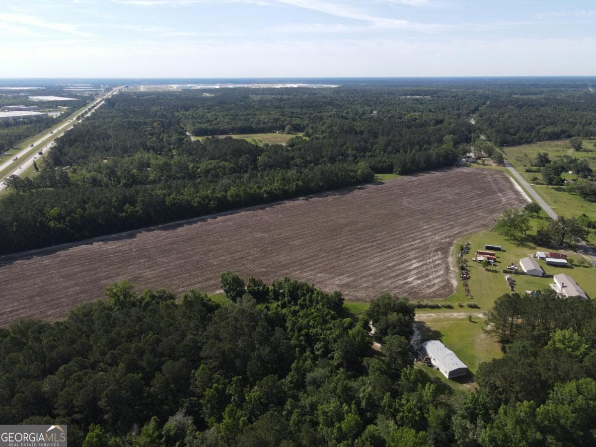 agriculture for sale at 1800 Olive Branch Road, Ellabell, GA 31308 — photo 7