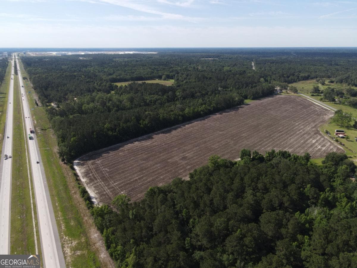 agriculture for sale at 1800 Olive Branch Road, Ellabell, GA 31308 — photo 9