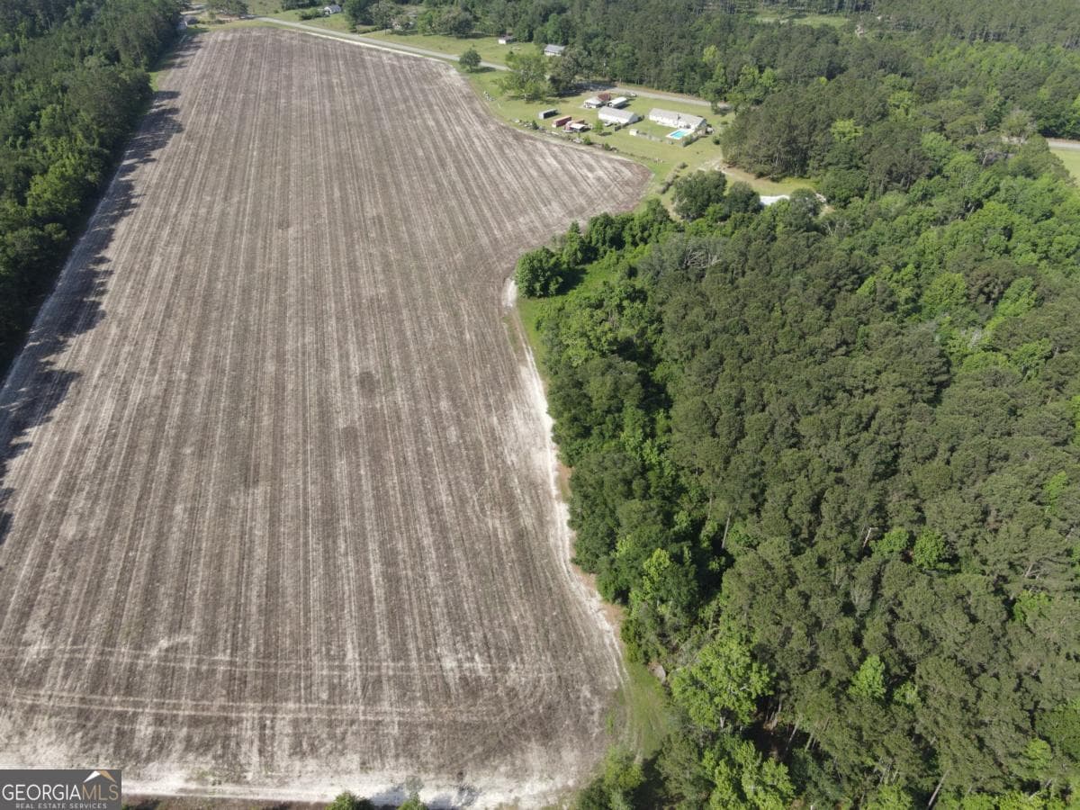 agriculture for sale at 1800 Olive Branch Road, Ellabell, GA 31308 — photo 10