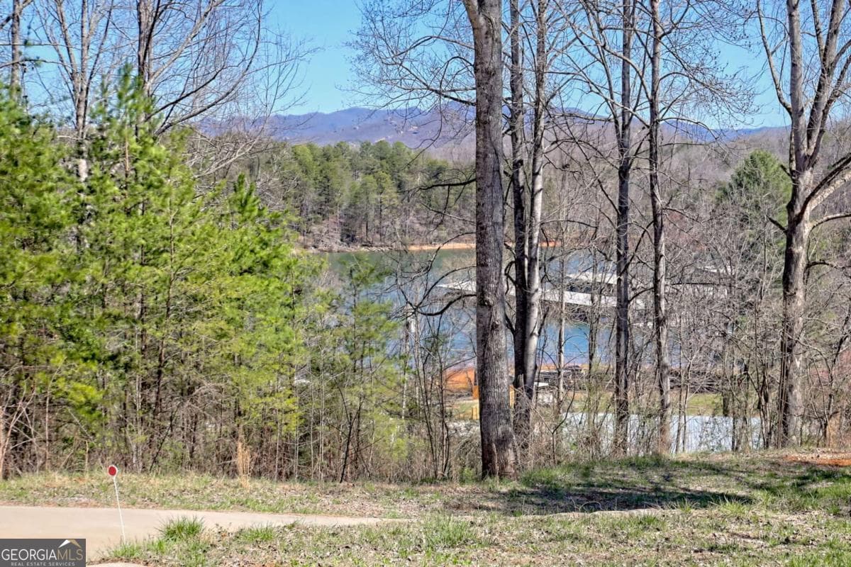 3 bedroom, 2 bathroom cabin,single family residence for sale at 521 Sunnyside Road, Hiawassee, GA 30546 — photo 4
