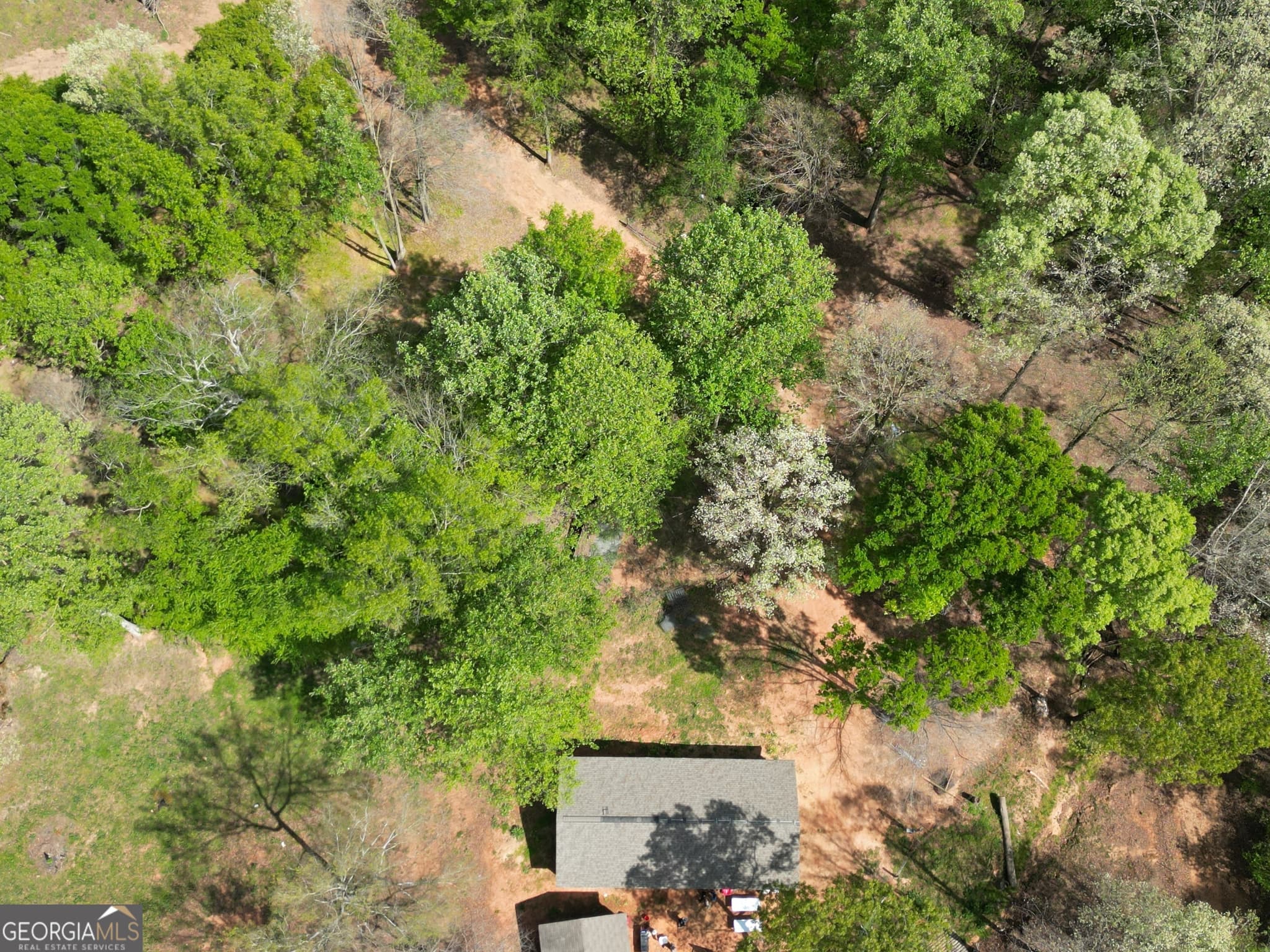 agriculture for sale at 213 Duncan Swindle Road, Commerce, GA 30530 — photo 5