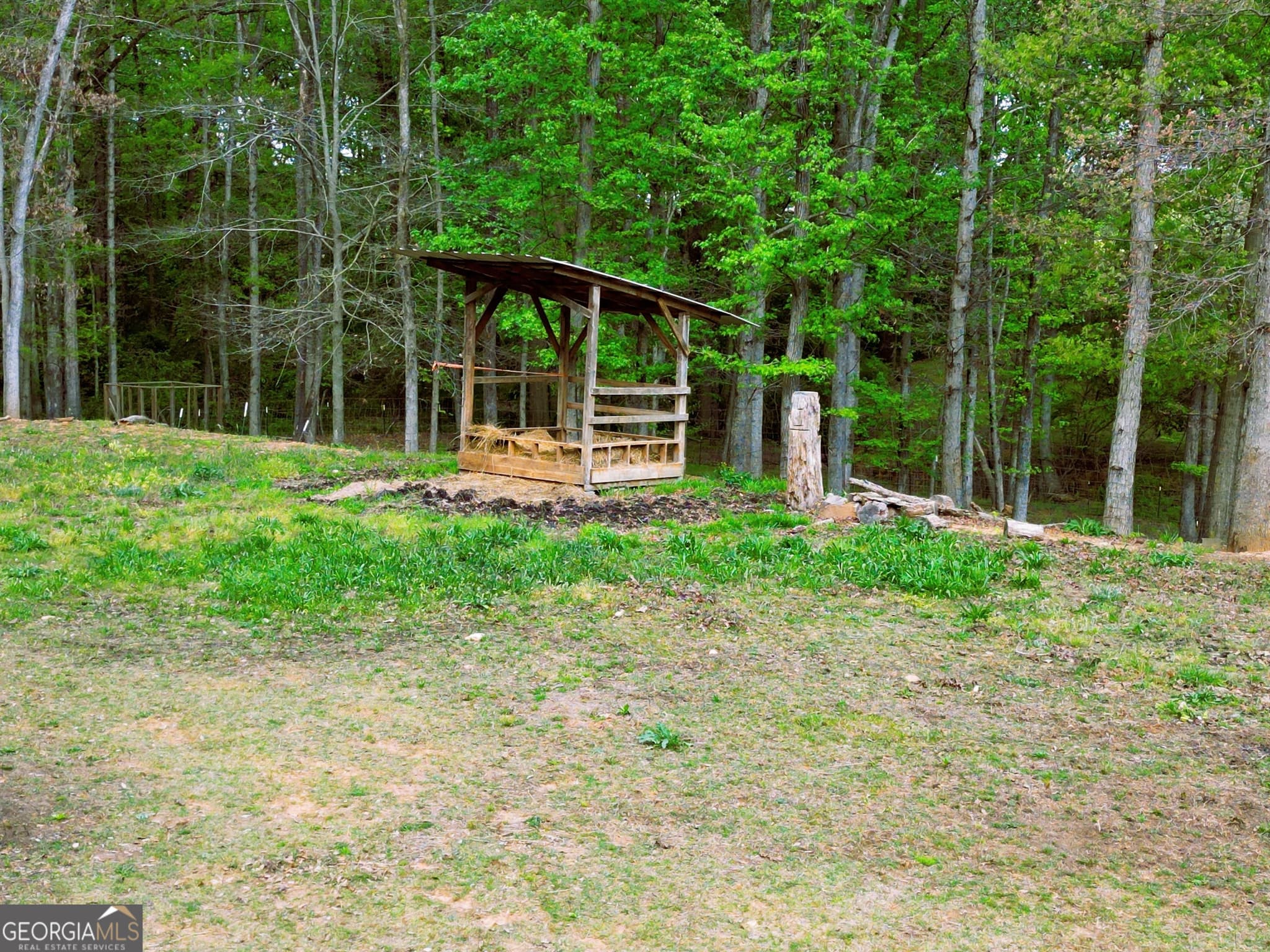 agriculture for sale at 213 Duncan Swindle Road, Commerce, GA 30530 — photo 4