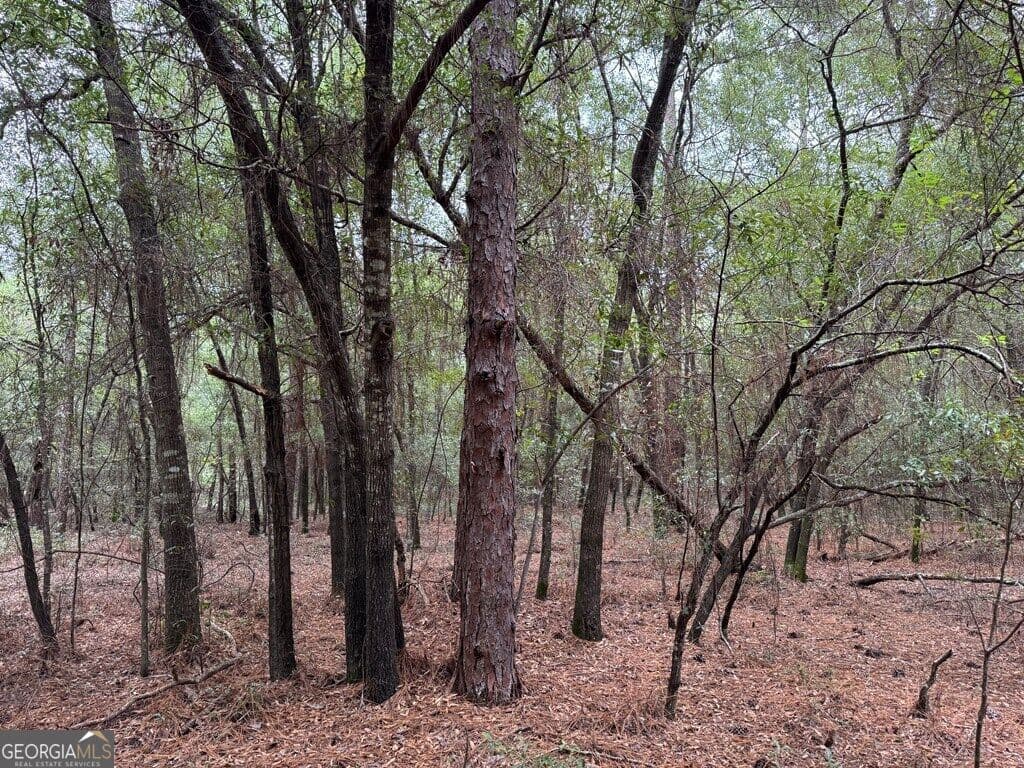 unimproved land for sale at 0 Glen Drive 14.74 ACRES, East Dublin, GA 31027 — photo 2