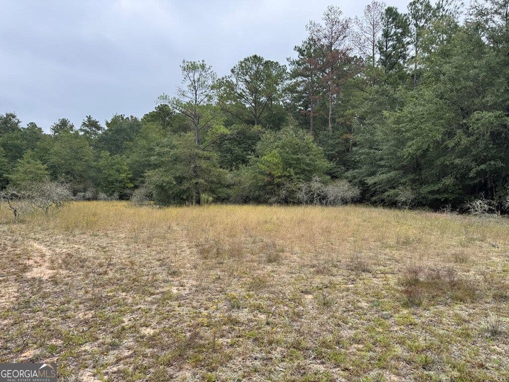 unimproved land for sale at 0 Glen Drive 14.74 ACRES, East Dublin, GA 31027 — photo 6