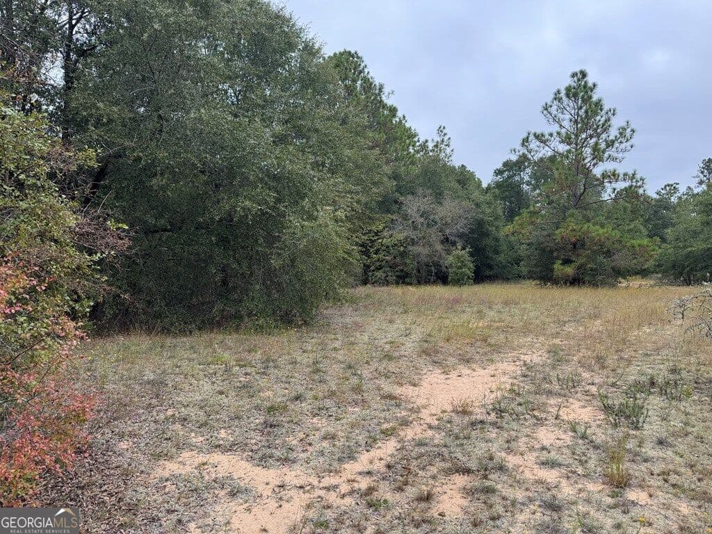 unimproved land for sale at 0 Glen Drive 14.74 ACRES, East Dublin, GA 31027 — photo 7