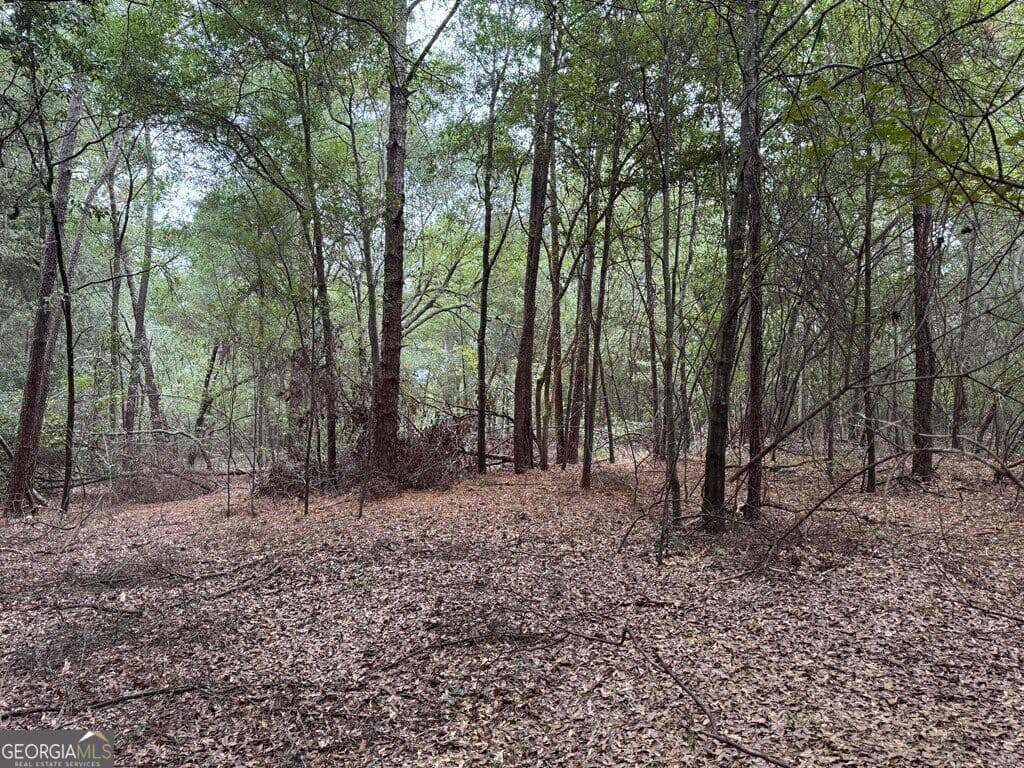 unimproved land for sale at 0 Glen Drive 14.74 ACRES, East Dublin, GA 31027 — photo 5