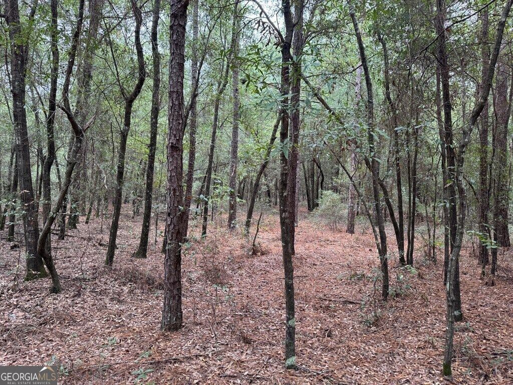 unimproved land for sale at 0 Glen Drive 14.74 ACRES, East Dublin, GA 31027 — photo 9