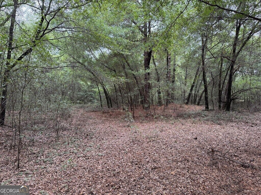 unimproved land for sale at 0 Glen Drive 14.74 ACRES, East Dublin, GA 31027 — photo 10