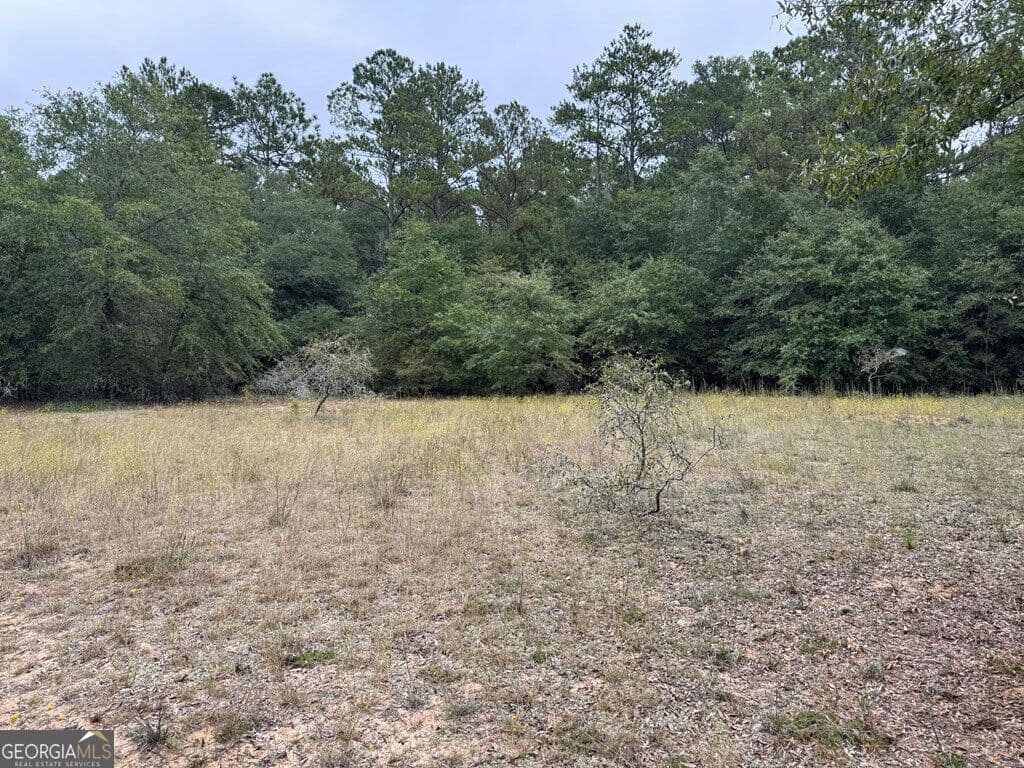 unimproved land for sale at 0 Glen Drive 14.74 ACRES, East Dublin, GA 31027 — photo 8