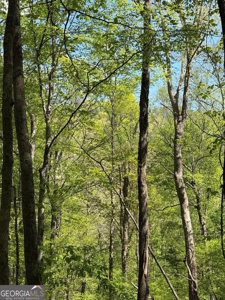 unimproved land for sale at 9.8 AC Brown Mountain, Suches, GA 30572 — photo 6