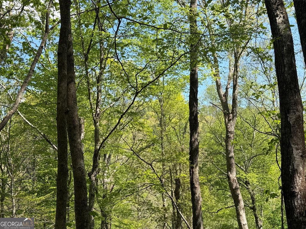 unimproved land for sale at 9.8 AC Brown Mountain, Suches, GA 30572 — photo 7