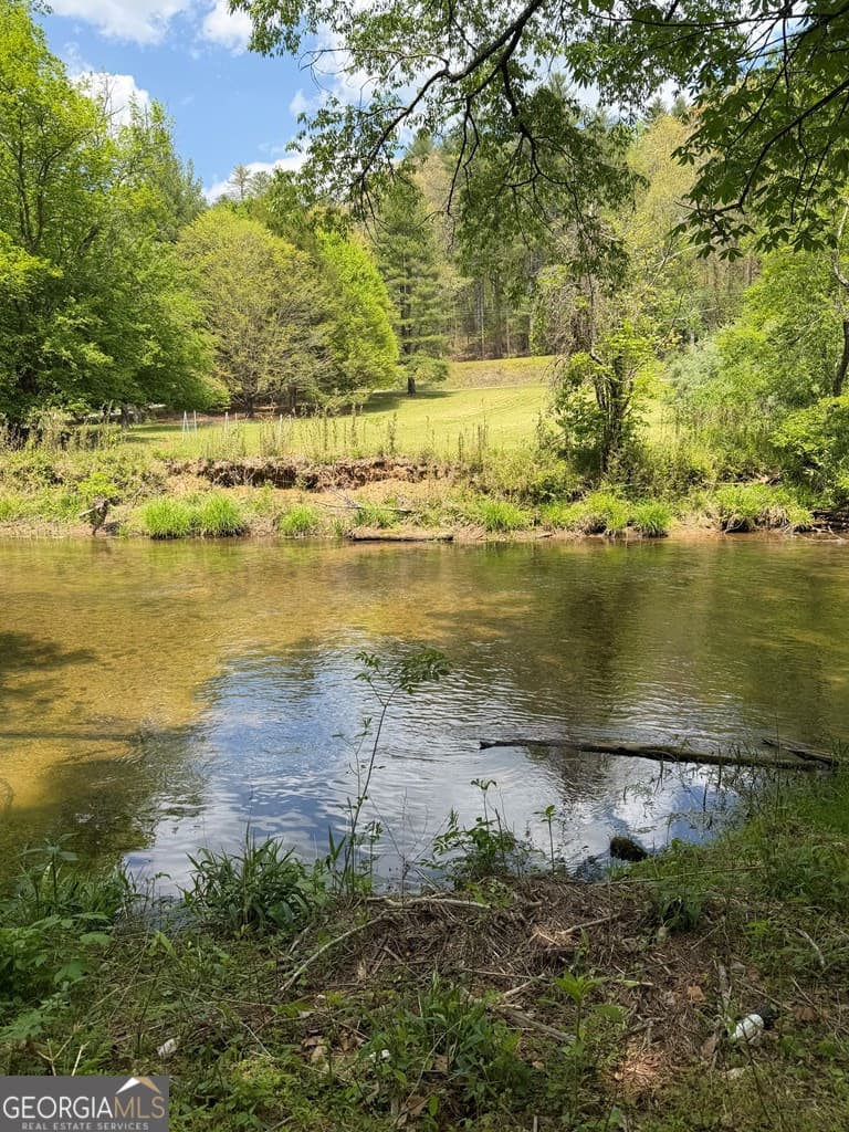 unimproved land for sale at 9.8 AC Brown Mountain, Suches, GA 30572 — photo 3