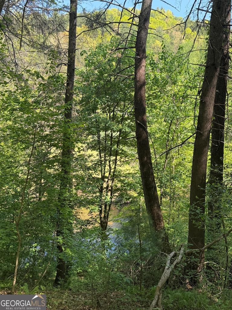 unimproved land for sale at 9.8 AC Brown Mountain, Suches, GA 30572 — photo 5