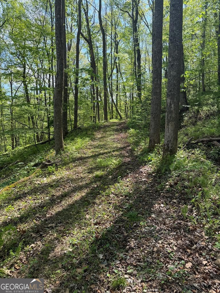 unimproved land for sale at 9.8 AC Brown Mountain, Suches, GA 30572 — photo 9