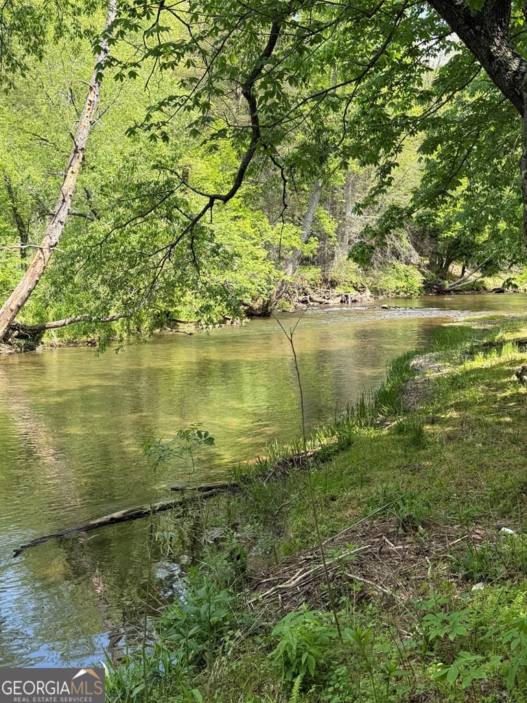 unimproved land for sale at 9.8 AC Brown Mountain, Suches, GA 30572 — photo 4