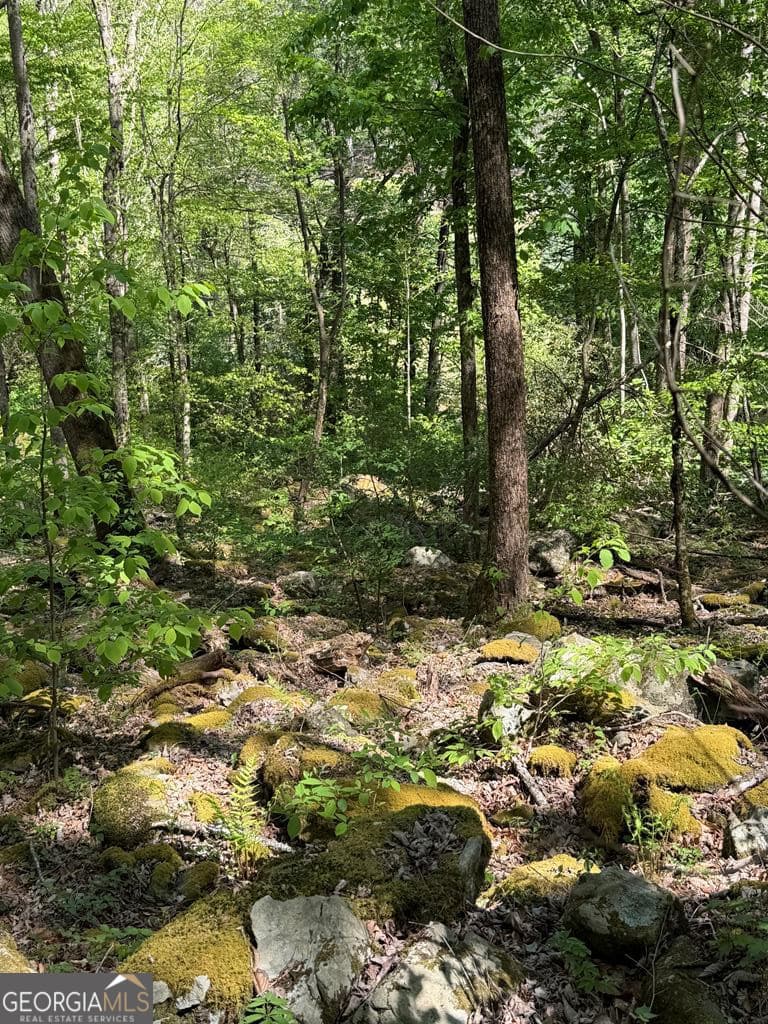 unimproved land for sale at 9.8 AC Brown Mountain, Suches, GA 30572 — photo 8