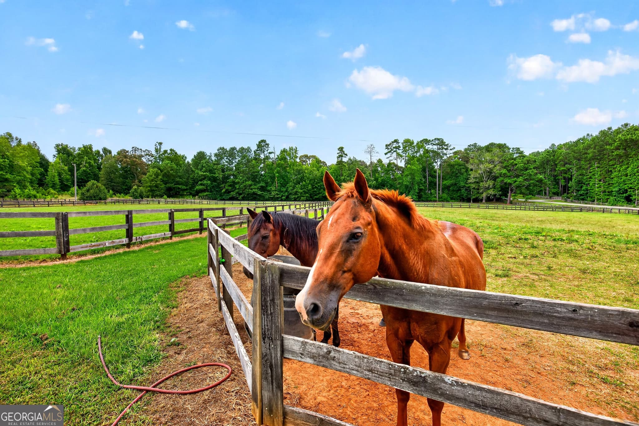 4 bedroom, 3.5 bathroom, 3,179 sq ft farm for sale at 145 Hardy Road, Brooks, GA 30205 — photo 6