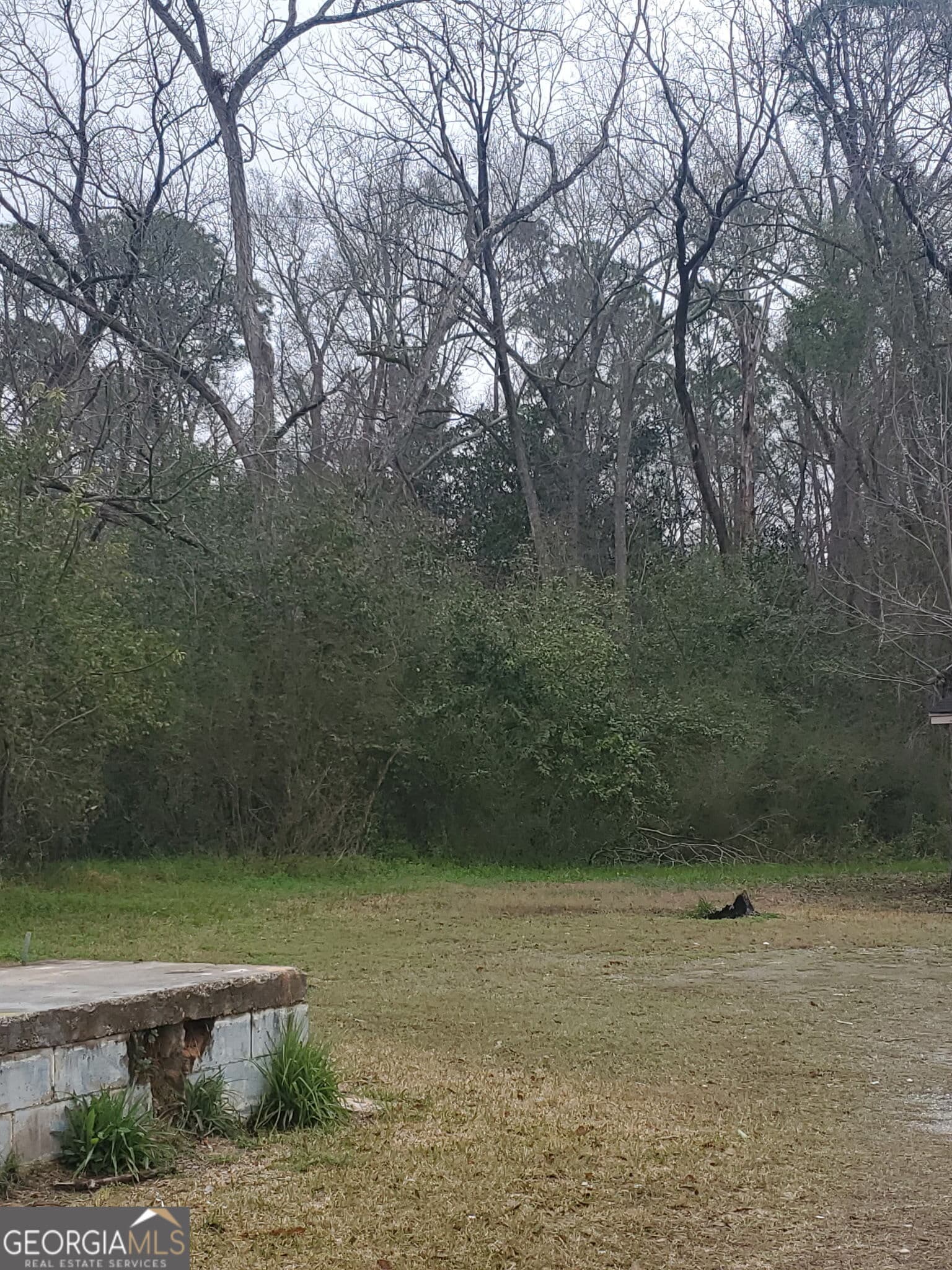 residential lot for sale at 301 Shipp Lane, Sylvester, GA 31791 — photo 3