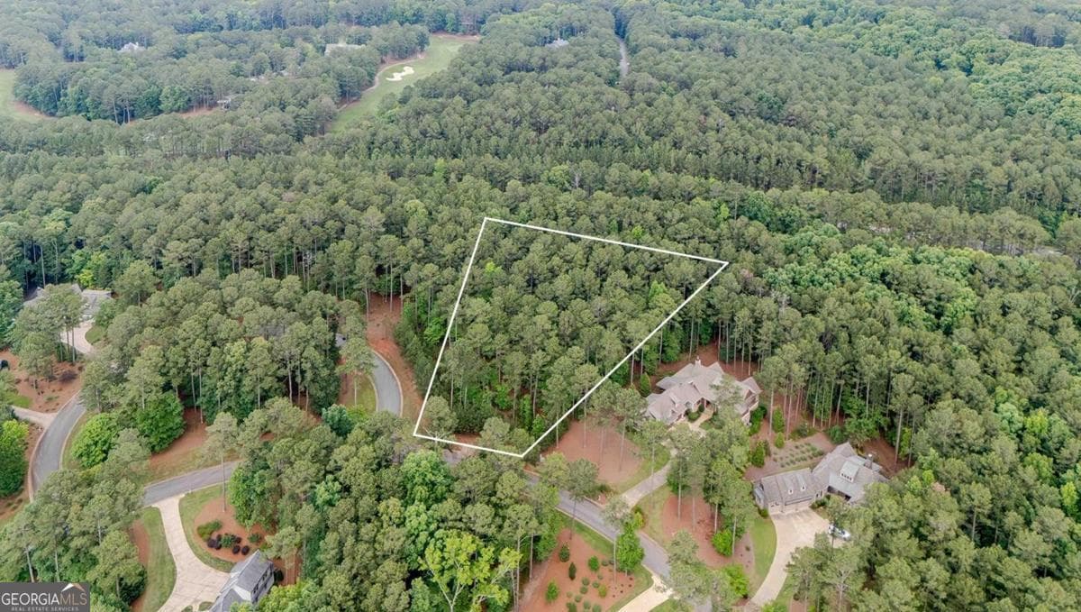 residential lot for sale at 1080 Mill Creek, Greensboro, GA 30642 — photo 2