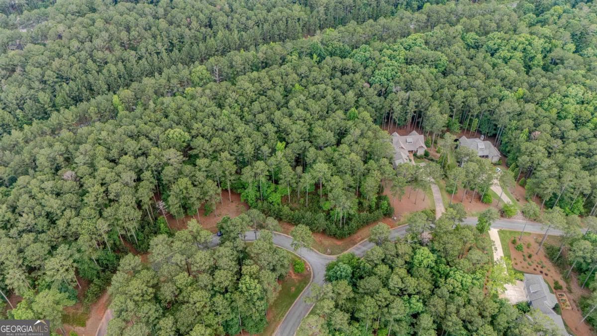residential lot for sale at 1080 Mill Creek, Greensboro, GA 30642 — photo 6