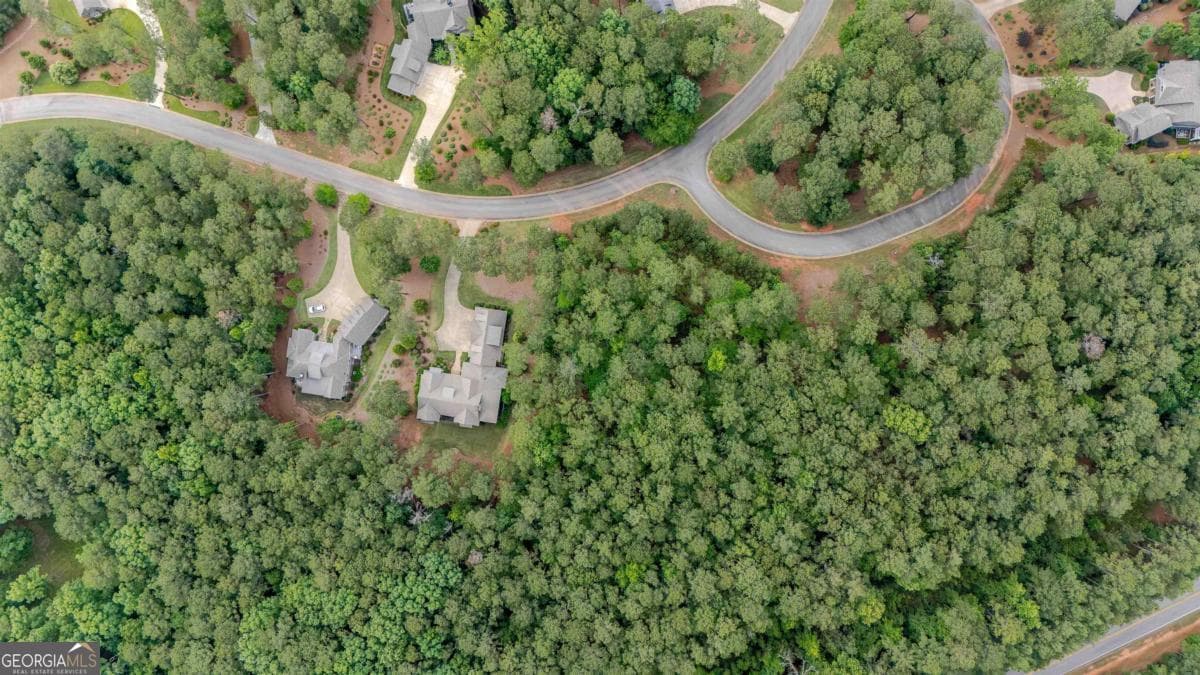 residential lot for sale at 1080 Mill Creek, Greensboro, GA 30642 — photo 3