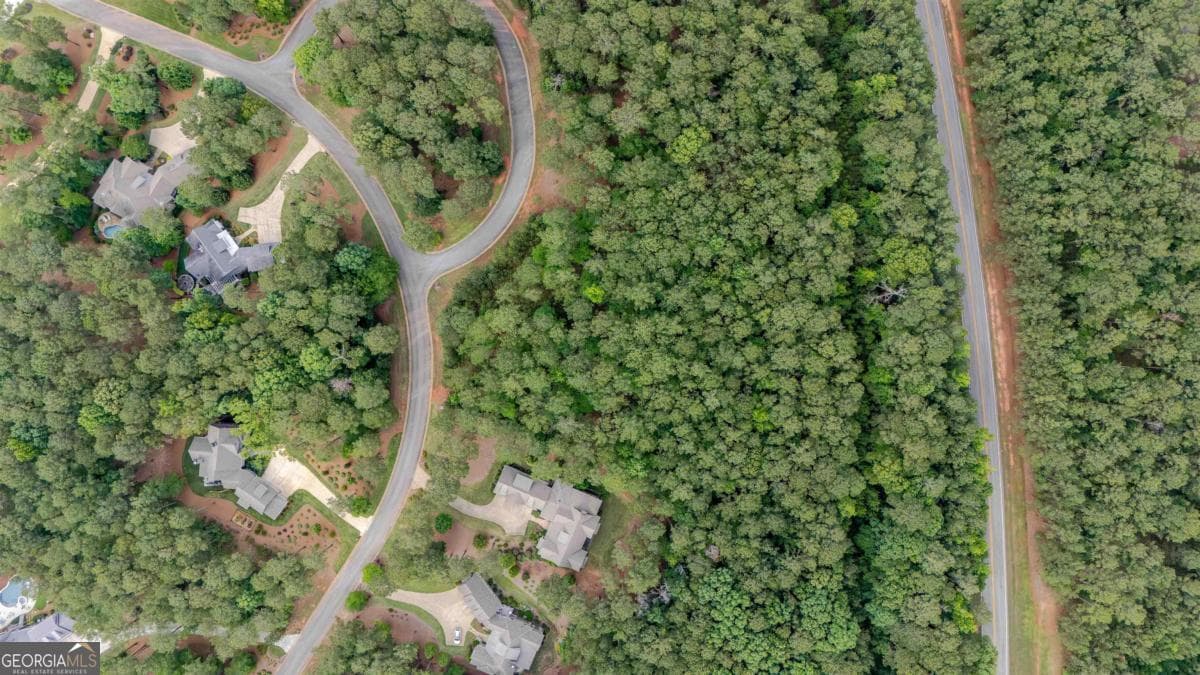 residential lot for sale at 1080 Mill Creek, Greensboro, GA 30642 — photo 5