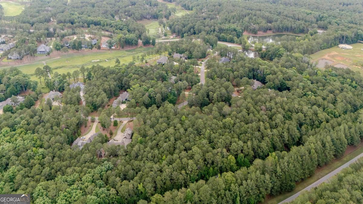 residential lot for sale at 1080 Mill Creek, Greensboro, GA 30642 — photo 9